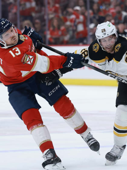 改革政策初 改革政策初